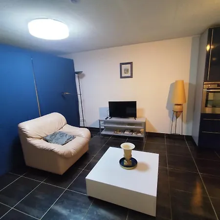 Lovely Cozy In Luxembourg 아파트